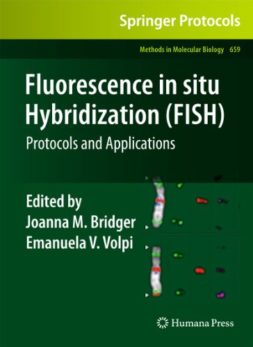 Fluorescence in situ Hybridization (FISH): Protocols and Applications [Paperback]