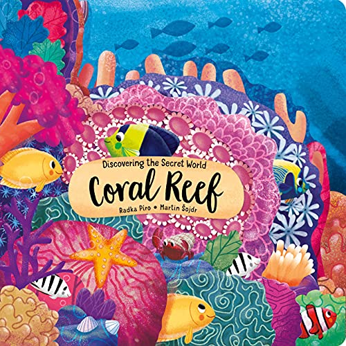 Discovering the Secret World: Coral Reef [Board book]