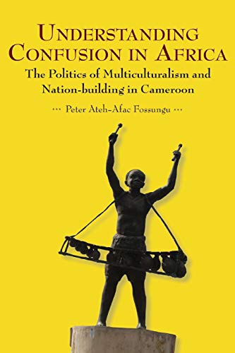 Understanding Confusion In Africa. The Politics Of Multiculturalism And Nation-B [Paperback]