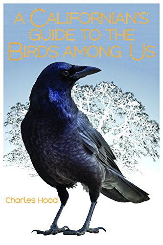 A Californian's Guide To The Birds Among Us [