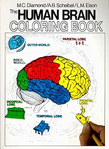 The Human Brain Coloring Book: A Coloring Book [Paperback]