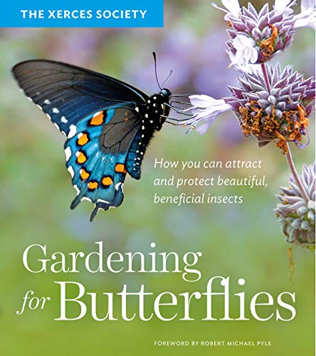 Gardening for Butterflies: How You Can Attrac