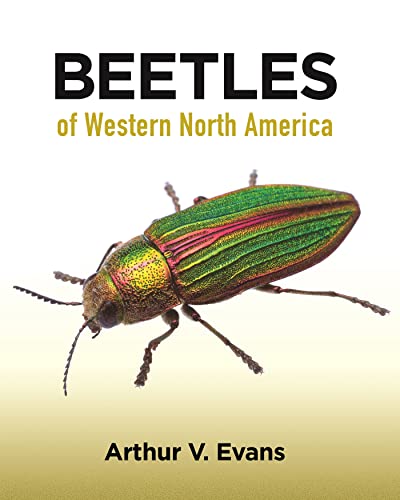 Beetles of Western North America [Paperback]