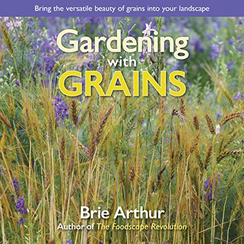 Gardening with Grains: Bring the Versatile Be