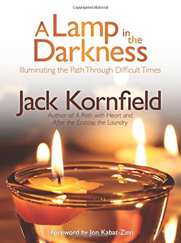 A Lamp In The Darkness: Illuminating The Path Through Difficult Times [Paperback]