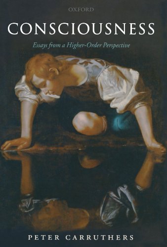 Consciousness Essays from a Higher-Order Perspective [Paperback]