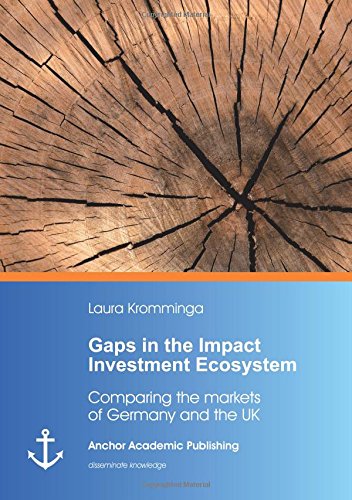 Gaps In The Impact Investment Ecosystem [Paperback]