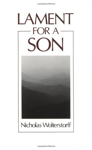 Lament For A Son [Paperback]