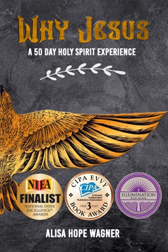 Why Jesus  A 50 Day Holy Spirit Experience [Paperback]