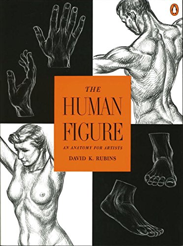 The Human Figure: An Anatomy for Artists [Paperback]