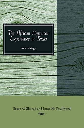 The African American Experience in Texas: An Anthology [Paperback]