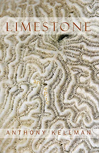 Limestone: An Epic Poem of Barbados [Paperback]