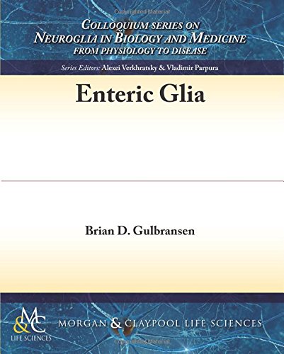 Enteric Glia [Paperback]