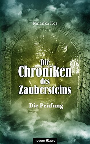 Die Chroniken Des Zaubersteins (german Edition) [Paperback]