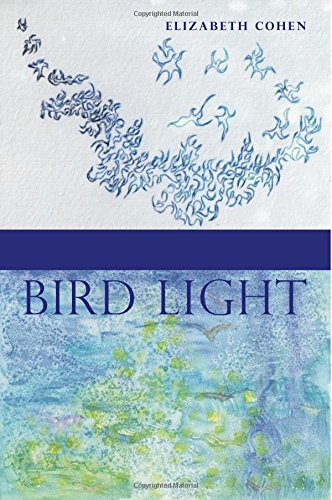 Bird Light [Paperback]