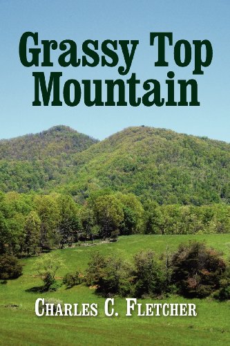 Grassy Top Mountain [Paperback]