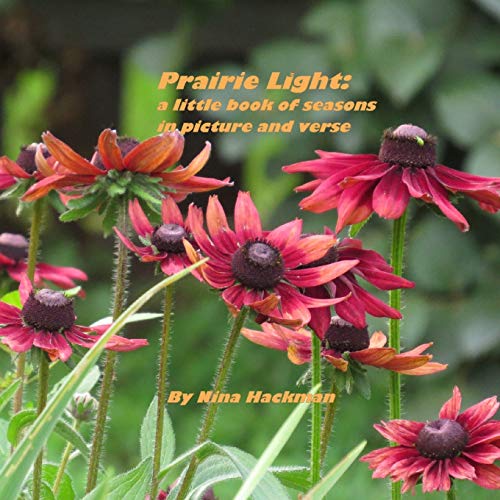 Prairie Light  A Little Book of Seasons in Picture and Verse [Paperback]