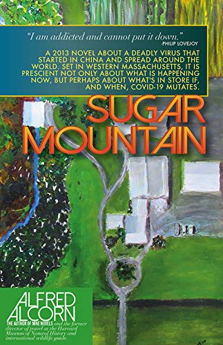 Sugar Mountain [Paperback]