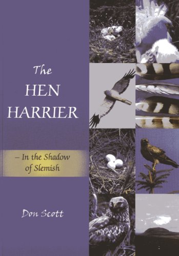 The Hen Harrier: In the Shadow of Slemish [Paperback]