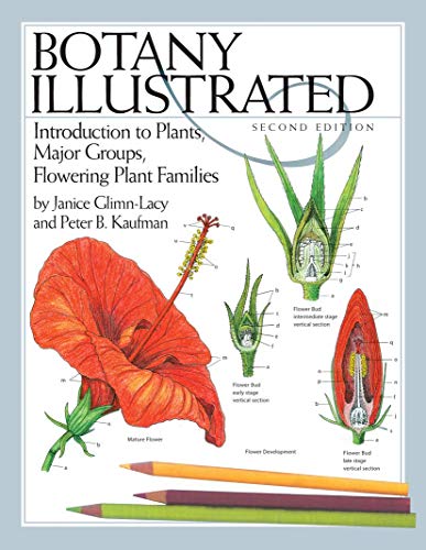 Botany Illustrated: Introduction to Plants, Major Groups, Flowering Plant Famili [Paperback]