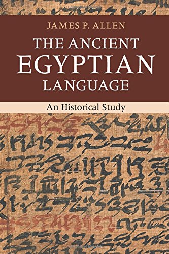 The Ancient Egyptian Language An Historical Study [Paperback]