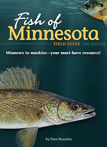 Fish of Minnesota Field Guide [Paperback]