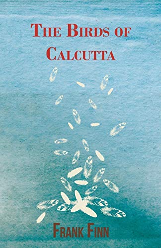 Birds of Calcutta [Paperback]