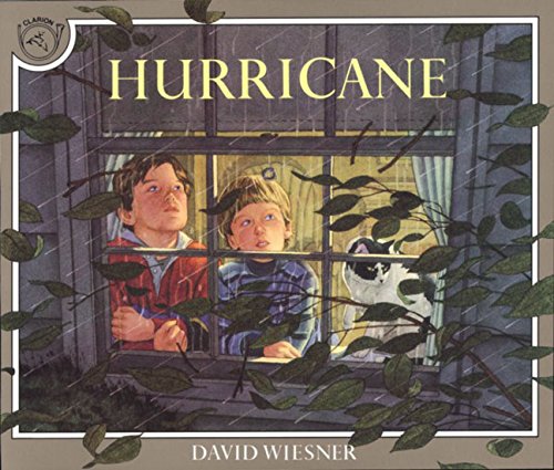 Hurricane [Paperback]