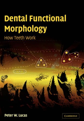 Dental Functional Morphology Ho Teeth Work [Paperback]