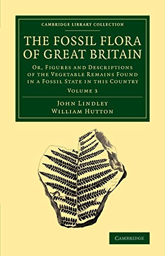 The Fossil Flora of Great Britain Or, Figures and Descriptions of the Vegetable [Paperback]