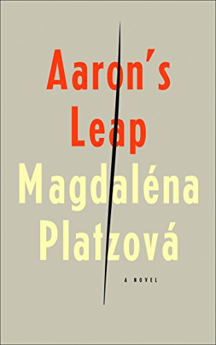 Aaron's Leap [Paperback]