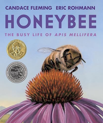 Honeybee: The Busy Life of Apis Mellifera [Hardcover]