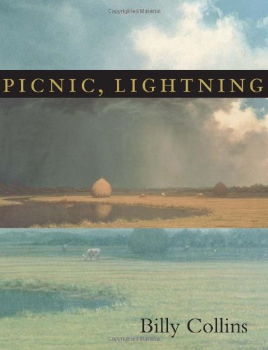 Picnic, Lightning [Paperback]