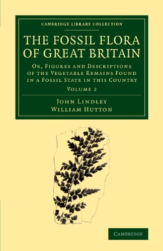 The Fossil Flora of Great Britain Or, Figures and Descriptions of the Vegetable [Paperback]