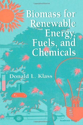 Biomass for Reneable Energy, Fuels, and Chemicals [Hardcover]