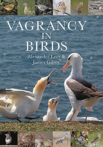 Vagrancy in Birds [Hardcover]