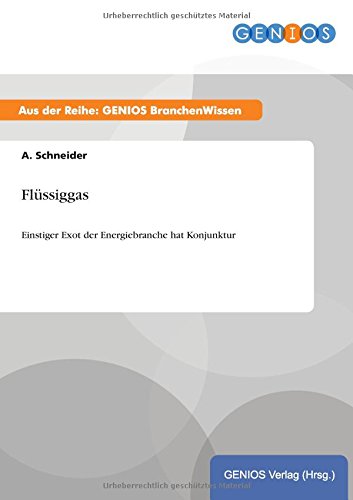 Flssiggas (german Edition) [Paperback]