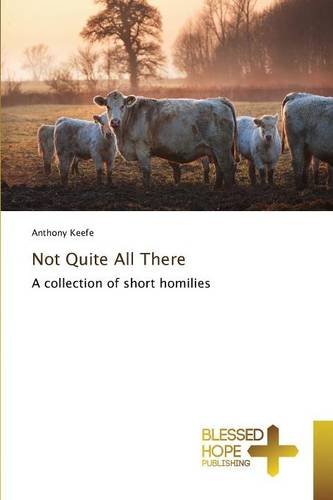 Not Quite All There [Paperback]