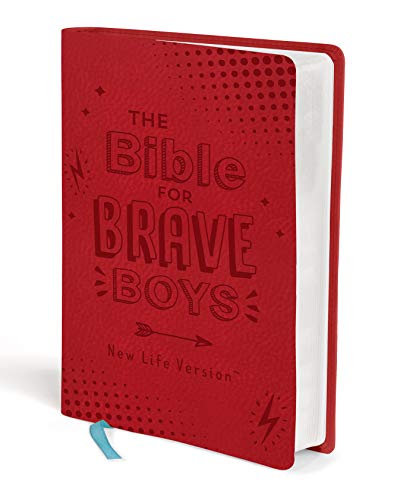 Bible For Brave Boys                     [TRA