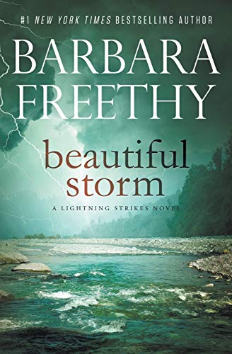 Beautiful Storm [Paperback]