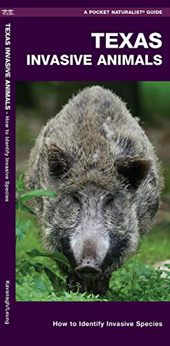 Texas Invasive Animals: A Folding Pocket Guide to Familiar Animals [Pamphlet]