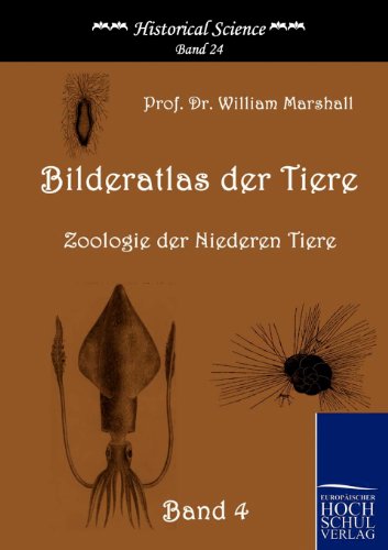 Bilderatlas der Tiere [Paperback]