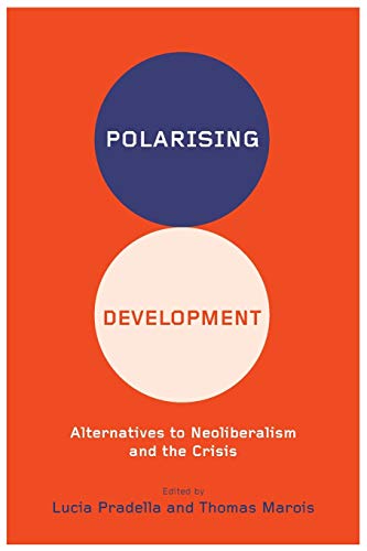 Polarizing Development Alternatives to Neoliberalism and the Crisis [Paperback]