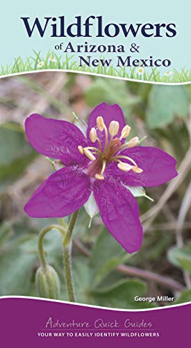 Wildflowers of Arizona and New Mexico: Your Way to Easily Identify Wildflowers [Spiral bound]