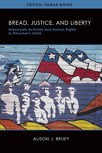 Bread, Justice, and Liberty Grassroots Activism and Human Rights in Pinochet&3 [Paperback]