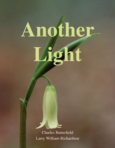 Another Light [Paperback]