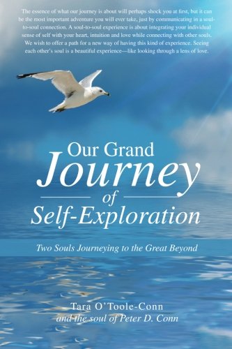 Our Grand Journey Of Self-Exploration To Souls Journeying To The Great Beyond [Paperback]