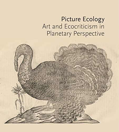 Picture Ecology: Art and Ecocriticism in Plan