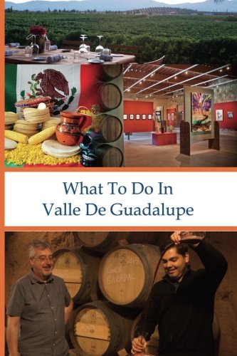 What To Do In Valle De Guadalupe (volume 17) [Paperback]