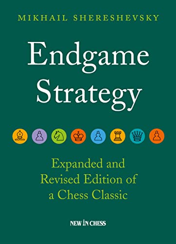 Endgame Strategy [Paperback]